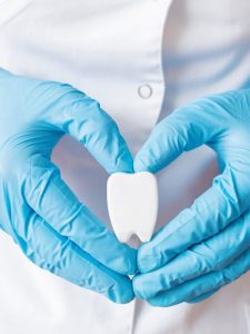 Dentist holding tooth model with blue gloves