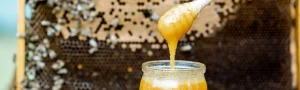 natural-honey
