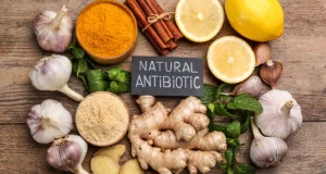 Best Natural Antibiotics for Dental Infection