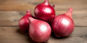 onion