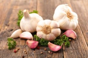 natural antibiotics to ward off any dental infection