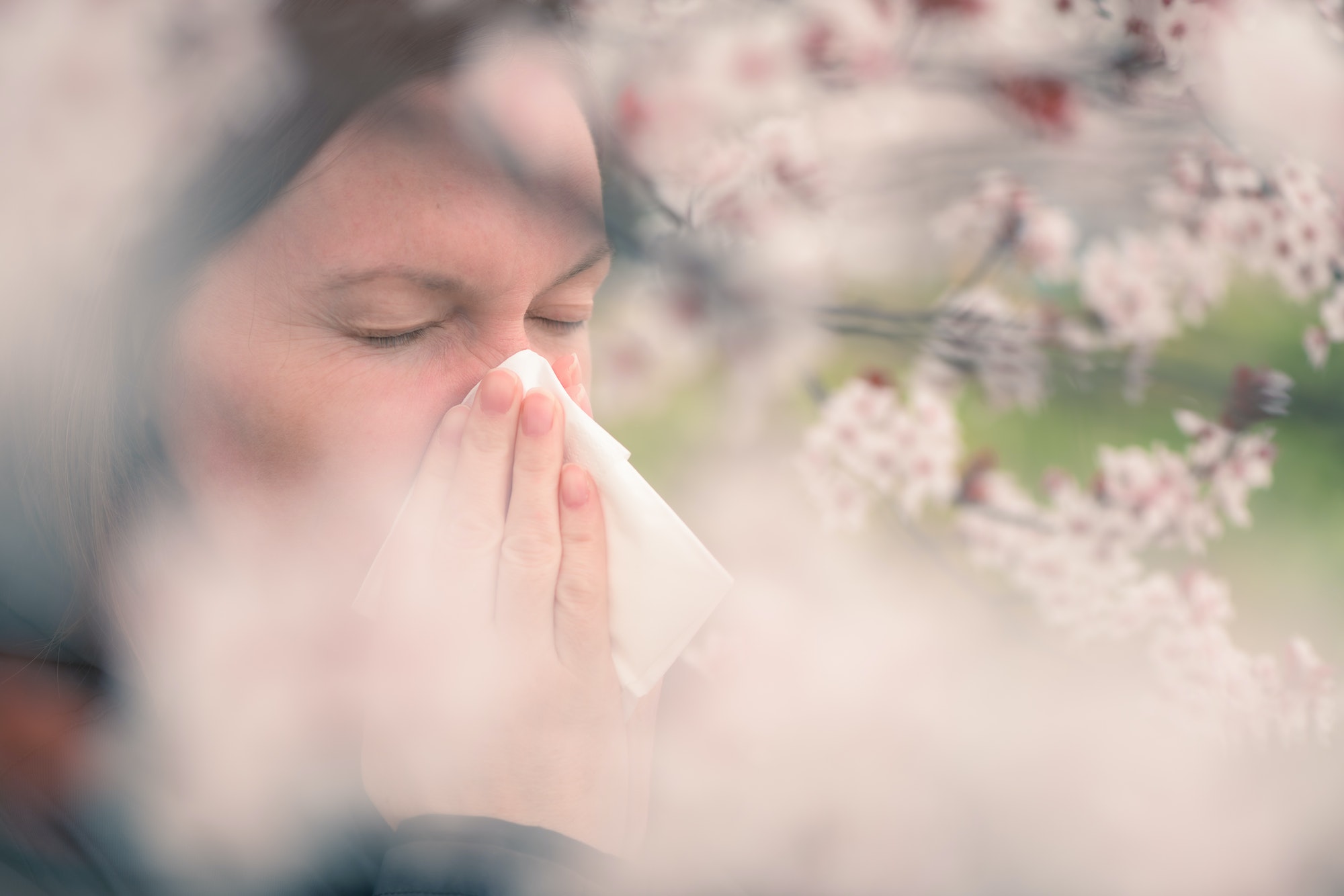 Woman sneezing in front of blooming cherry tree in spring