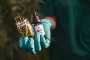 How Cannabidiol Can Impact Your Dental Health