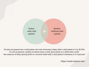 cleft-palate-probability