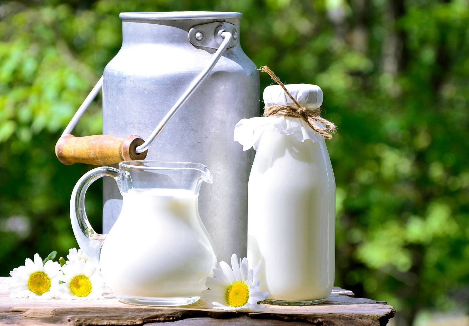 milk
