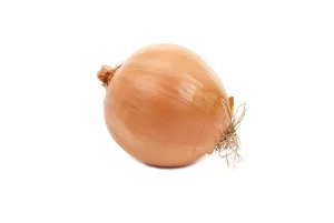 onion