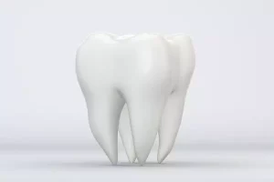 Etapas del absceso dental