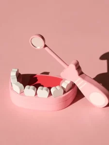 a-model-of-a-human-jaw-with-a-mirror