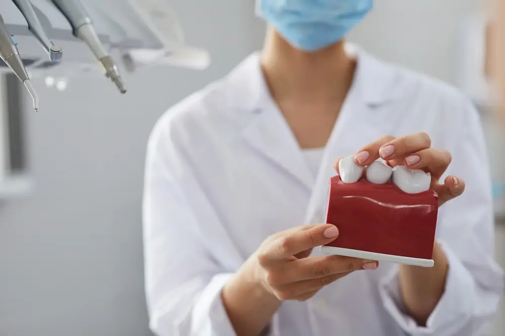 dentist-holding-tooth-model-closeup
