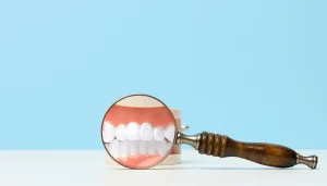 model-of-a-human-white-teeth-with-magnifying-glass