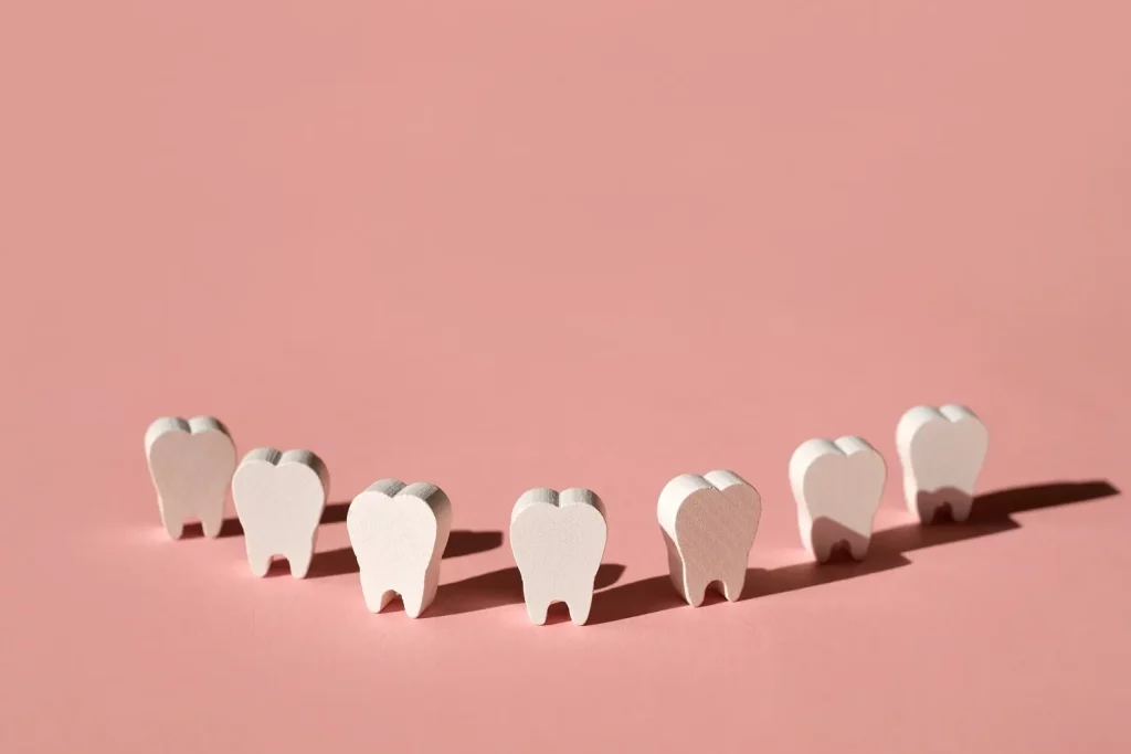 models-of-teeth-standing-in-a-row
