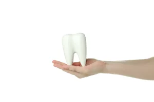 hand-holding-a-model-tooth