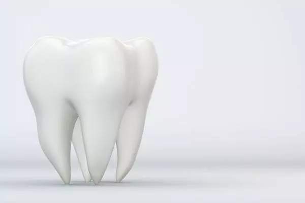 ¿Cuántos dientes tienen los adultos?