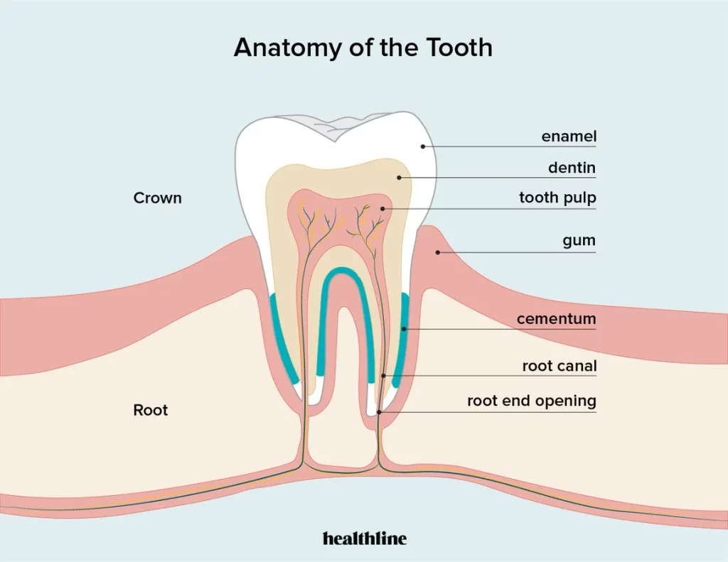 Channel Islands Family Dental Office | Dentist In Ventura County