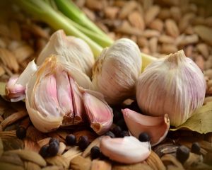 Garlic