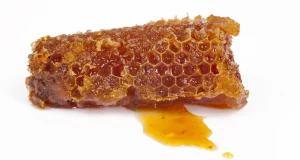 piece of honeycomb with honey