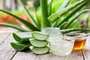 aloe vera para las úlceras bucales