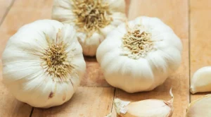 garlic