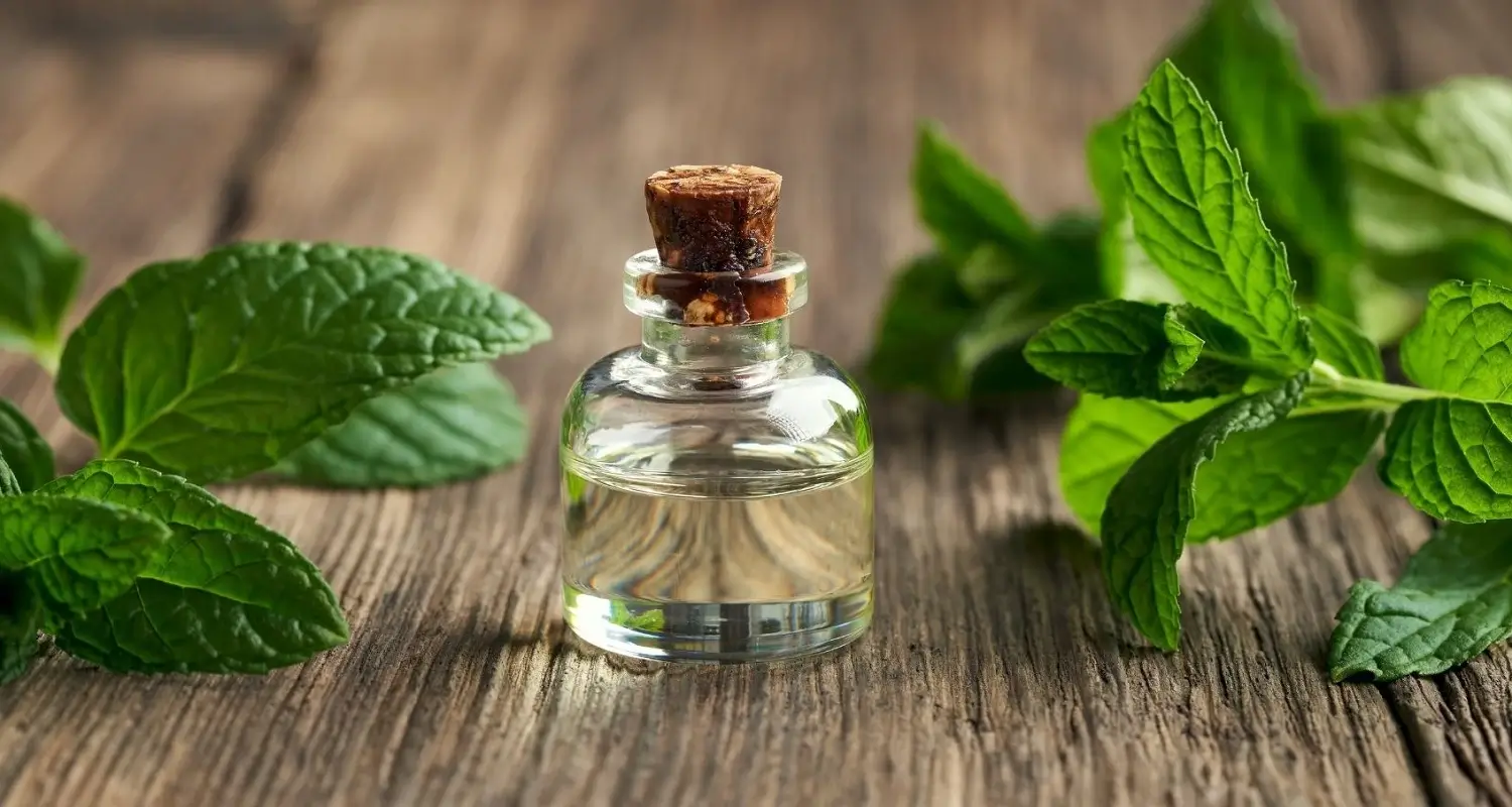 peppermint oil for toothache