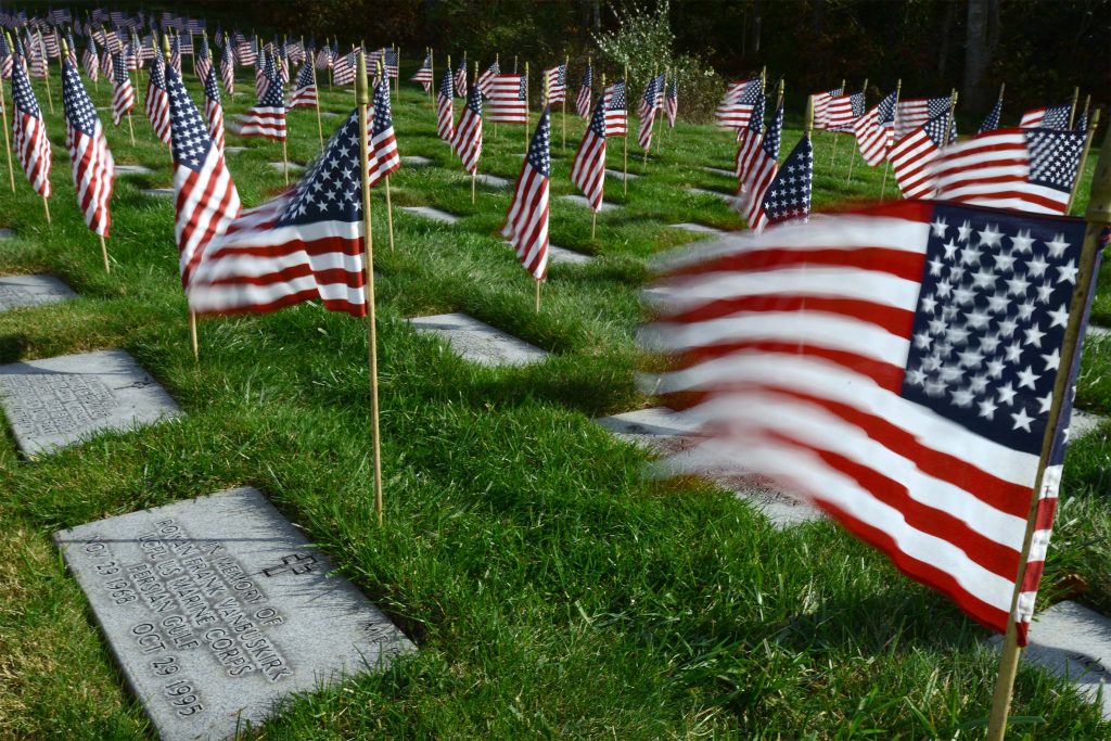a group of flags in a cemetery
