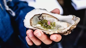 What are the Top Oysters Benefits for Your Teeth?