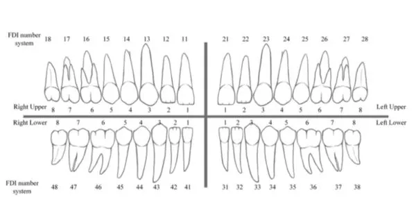 FDI system: the international standard