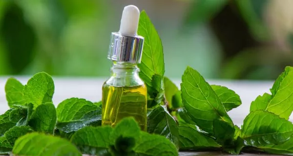 Peppermint oil