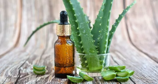 What other natural antibiotics to ward off any dental infection can help?